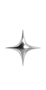 Star straight decoration 2